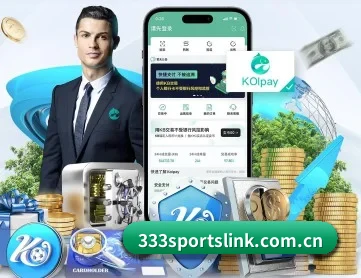 333体育 APP 深度功能